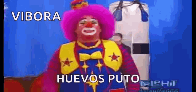 a clown wearing a pink hat and a yellow vest says vibora huevo puto