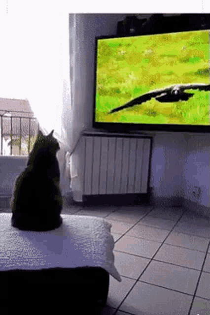 Cat Scared GIF - Cat Scared Tv GIFs