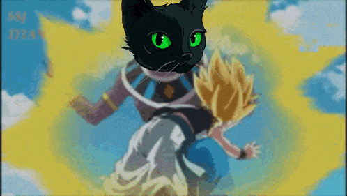a black cat with green eyes is standing in front of a yellow and blue background