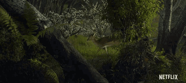 a netflix ad shows a deer walking through a lush green forest
