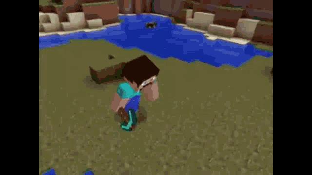 a minecraft character is standing next to a body of water in a field .