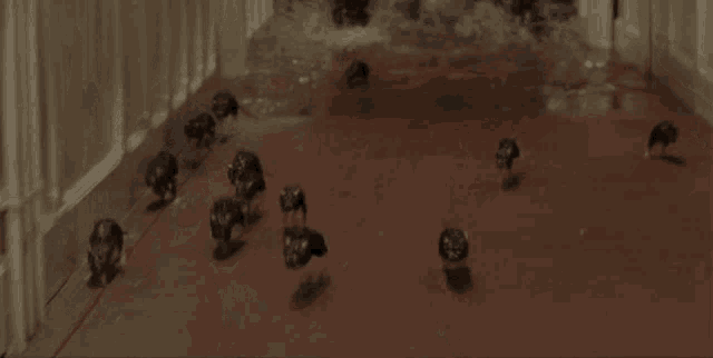 a bunch of mice are walking on a red floor