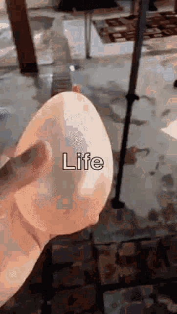 a person holding a balloon with the word life on it
