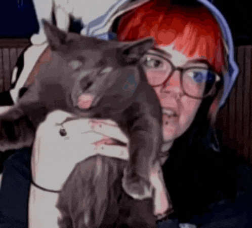a woman with red hair is holding a gray cat in her arms