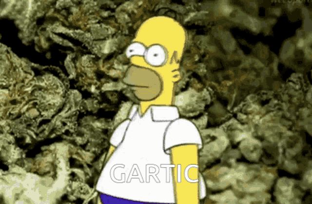 homer simpson is standing in front of a pile of marijuana and the word gartic is on the bottom