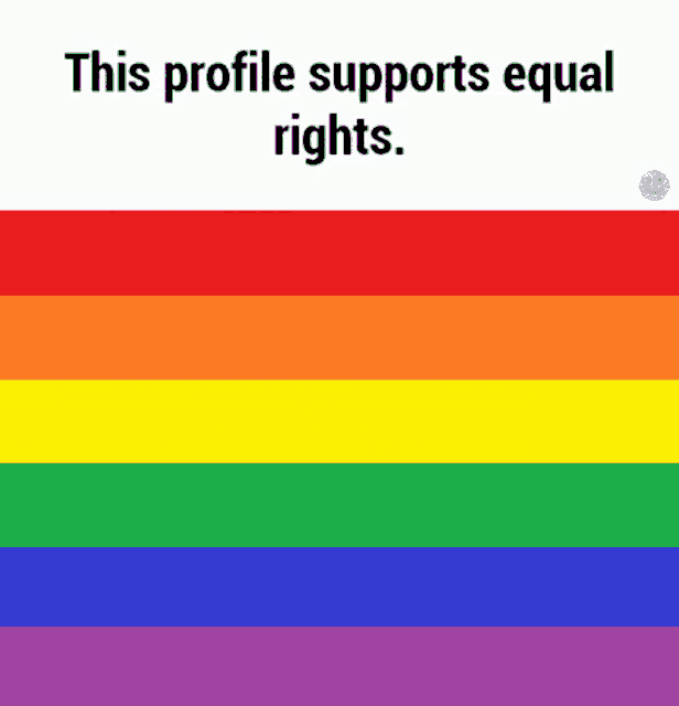 a picture of a rainbow flag with the words `` this profile supports equal rights '' .