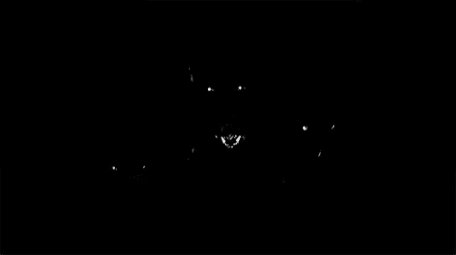 a group of people are standing in the dark in a black and white photo .