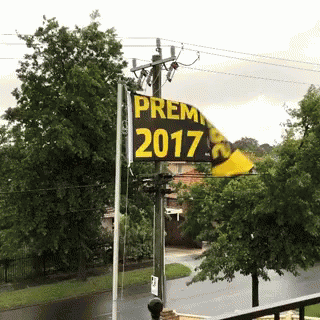 Richmond Premiers GIF - Richmond Premiers 2017 GIFs