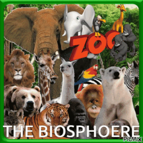 Biosphere The Biosphere GIF - Biosphere The Biosphere GIFs