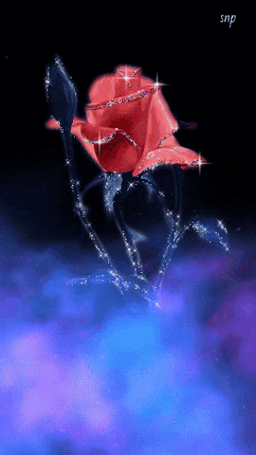 a red rose is surrounded by sparkles and the name snp is on the bottom