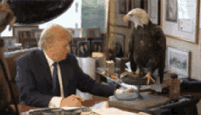 a bald eagle sits on a desk next to a man in a suit and tie