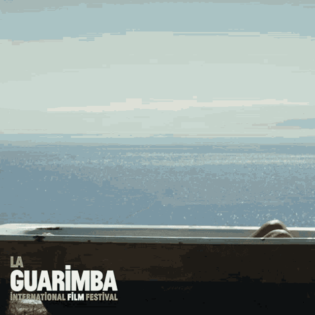 Guarimba Plane GIF - Guarimba Plane Holiday GIFs