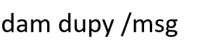 a white background with the words dam dupy / msg written in black