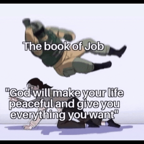 a cartoon of a man being thrown in the air with the words `` the book of job '' written on it .