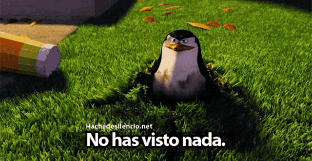a picture of a penguin with the words no has visto nada on the bottom