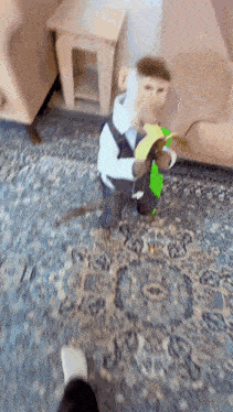 a stuffed monkey is walking on a carpet in a living room .