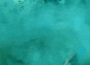 a turquoise background with a lot of bubbles in the water