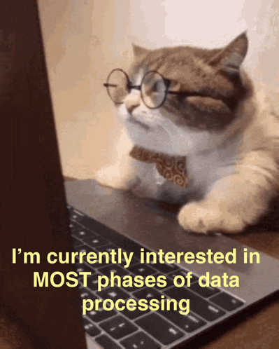 a cat wearing glasses and a bow tie is looking at a laptop computer