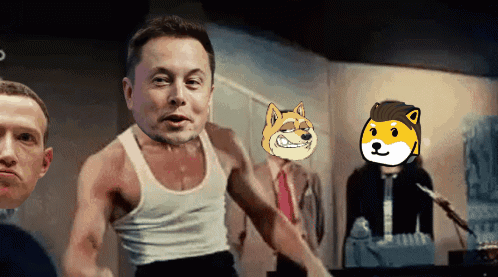 Doge Elon GIF - Doge Elon Dogc GIFs