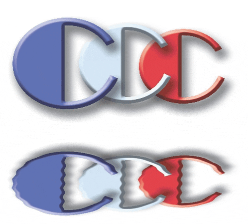 a blue white and red champion logo with a white background