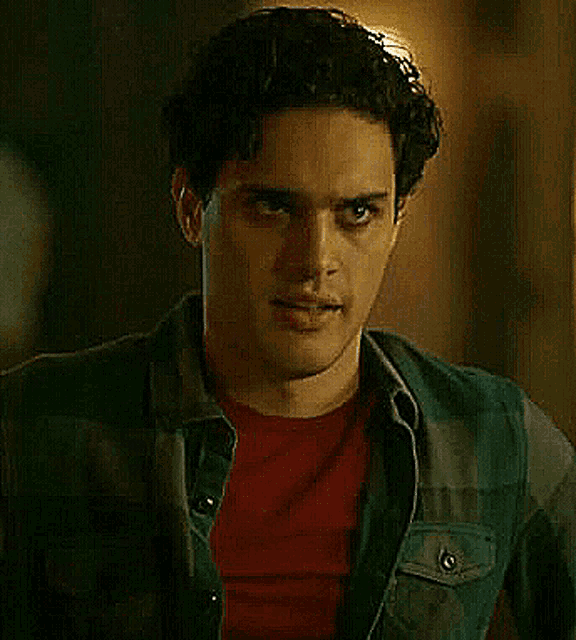 a young man wearing a plaid shirt and a red shirt is looking at the camera .
