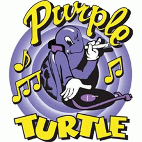 Purple Turtle Purple GIF