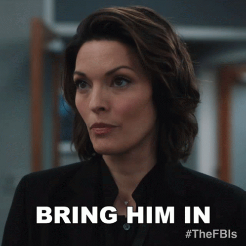 Bring Him In Special Agent In Charge Isobel Castille GIF