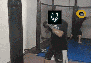 a man is boxing in a gym with a fox logo on his head