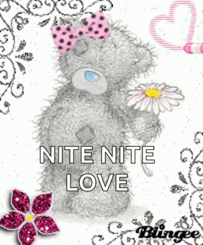 Nite Teddy Bear GIF - Nite Teddy Bear Sparkles GIFs