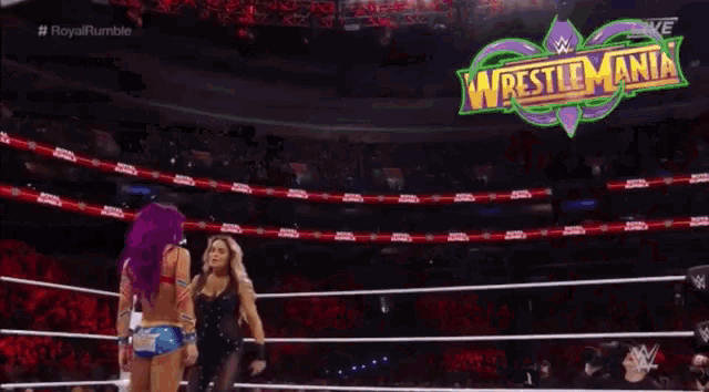 two women are fighting each other in a wrestling match on a tv show .