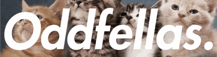 four kittens are lined up in a row with the words oddfellas written above them