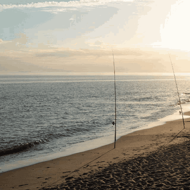 a couple of fishing rods on a sandy beach