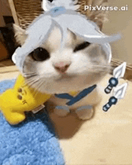 a white cat is wearing a hat and holding a yellow stuffed animal .