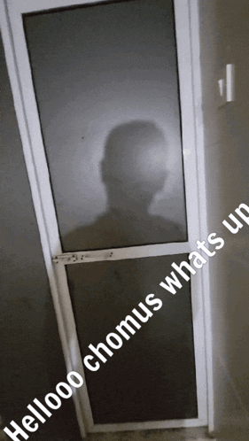 a shadow of a man is cast on a door with the words hellooo chonus whats up written below it