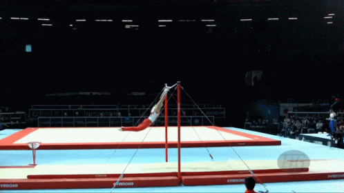 Miyachi Gymnastics GIF - Miyachi Gymnastics Highbar GIFs
