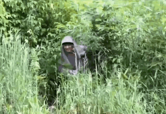 a person in a hooded jacket is standing in a field of tall grass .