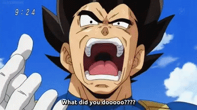 Vegeta Dragon Ball Z GIF - Vegeta Dragon Ball Z What Did You Do GIFs