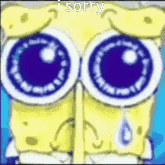 a cartoon of spongebob with big blue eyes and the words i sorry