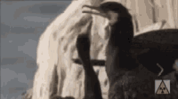 a group of birds are standing next to each other with a warning sign in the corner