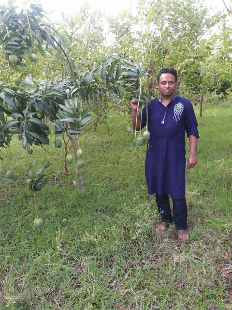 a man in a blue shirt is standing in a field holding fruit