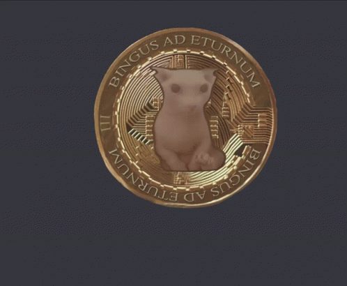 Bingus Coin GIF - Bingus Coin GIFs