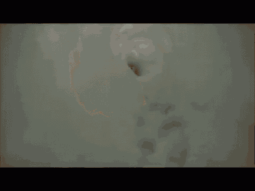 a brown and white dog is running through a tunnel of snow .