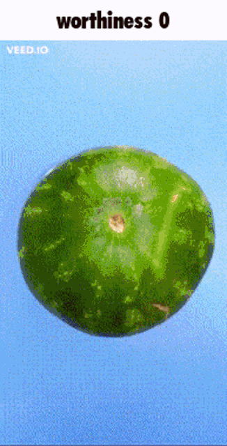 a picture of a watermelon with the words worthiness 0 on it