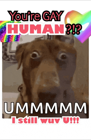 a picture of a dog with the words " you 're gay human "