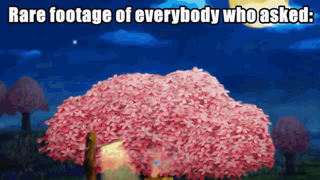 a cherry blossom tree with the words rare footage of everybody who asked