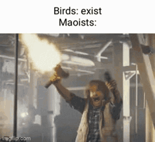 a man is holding a gun and a torch in his hand with the caption birds exist maoists