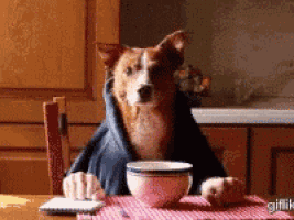 a dog wearing a hoodie is sitting at a table with a bowl of food .