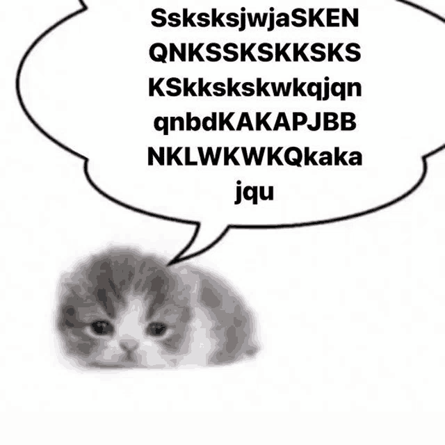 a cat with a speech bubble that says ssksksjwjasken on it