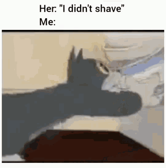 a cat 's shadow is cast on a wall while a person shaves .