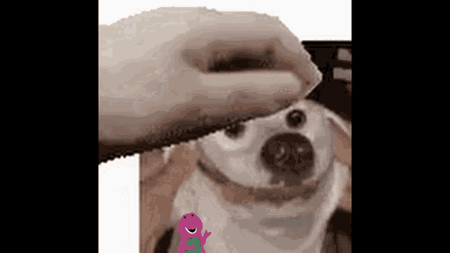 a person is feeding a dog a piece of food and there is a picture of barney the dinosaur in the background .